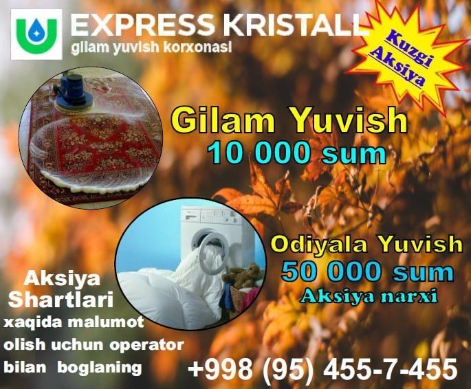 Professionall Gilam Yuvish xizmati