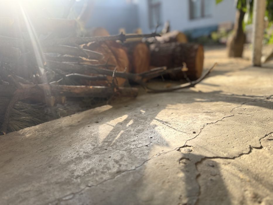 Archaniki otinga sotiladi narxi arzon