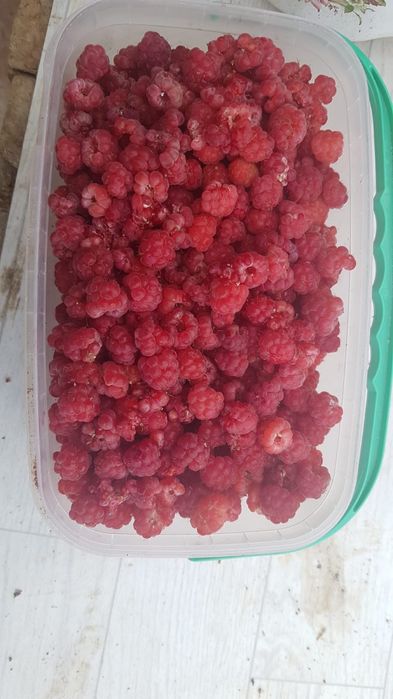 Малина 3.500/кг местная