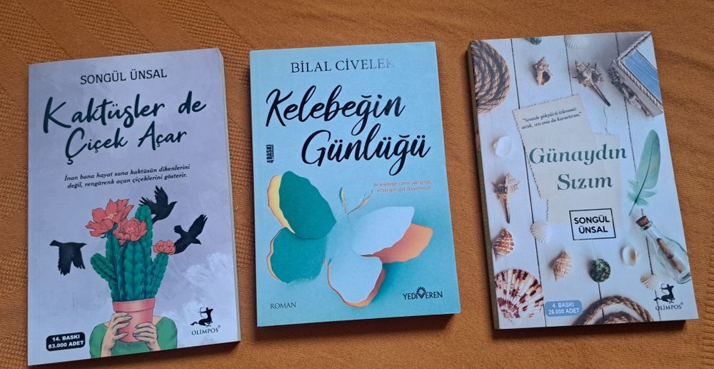Turk tilidagi kitoblar sotiladi.
Türkçe kitaplar satılıktır.
Hepsi yen