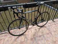 Vand cursiera Felf F95