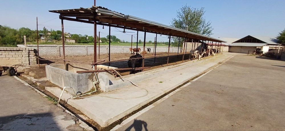 Ферма сотилади. Паркент тумани.