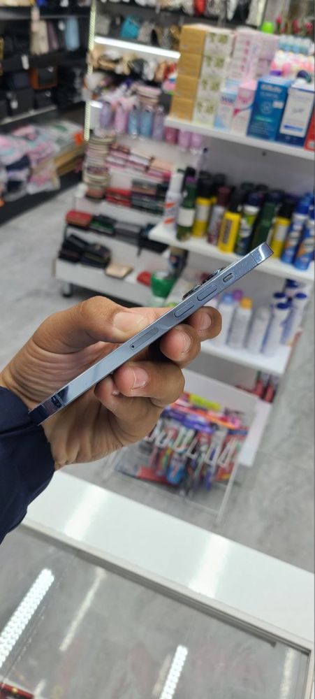 Iphone 13 pro delpin