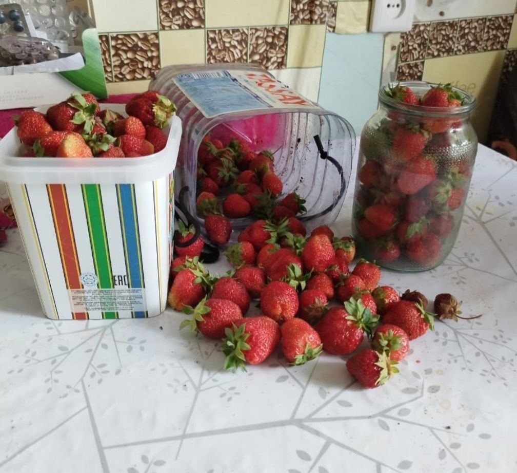 Продам дачную вкусную клубничку