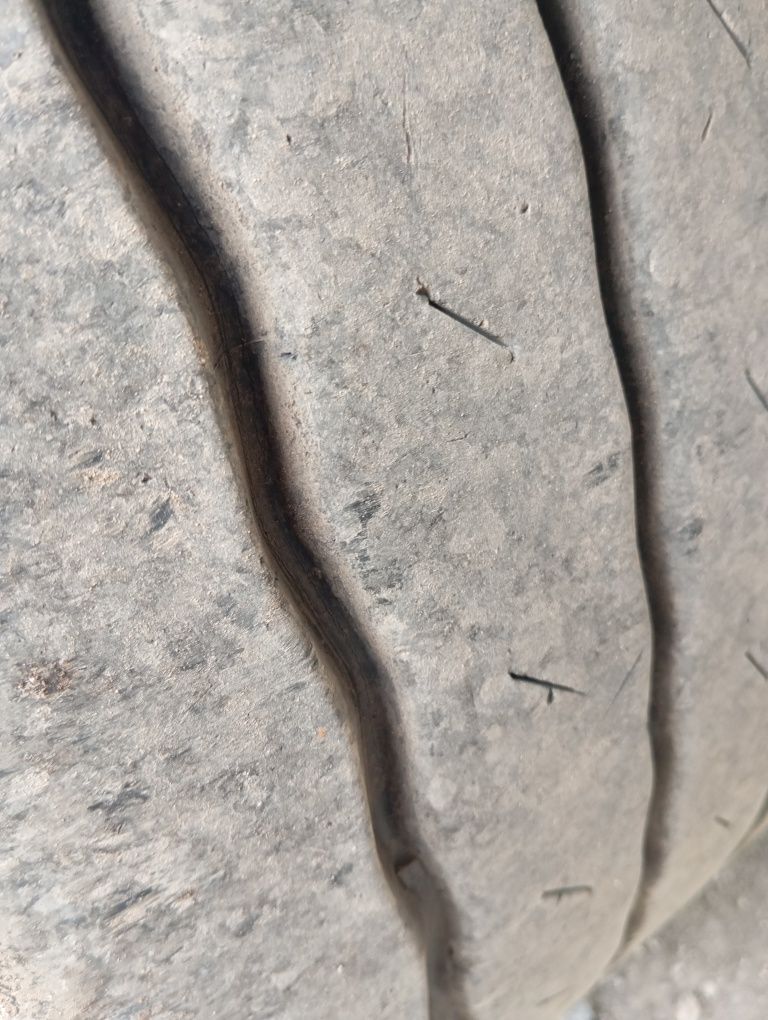 Semiremorca SchwarzMuller remorca