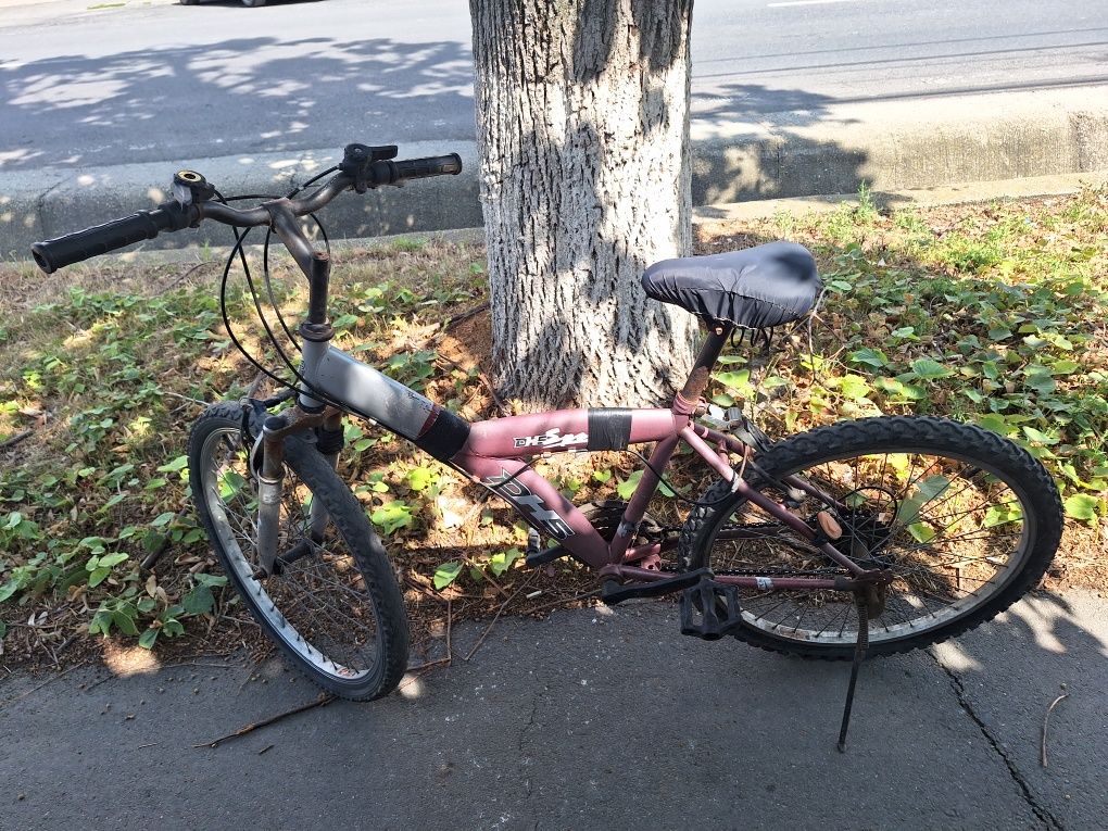 Bicicleta femeie