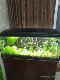 Продам аквариум 200 литров