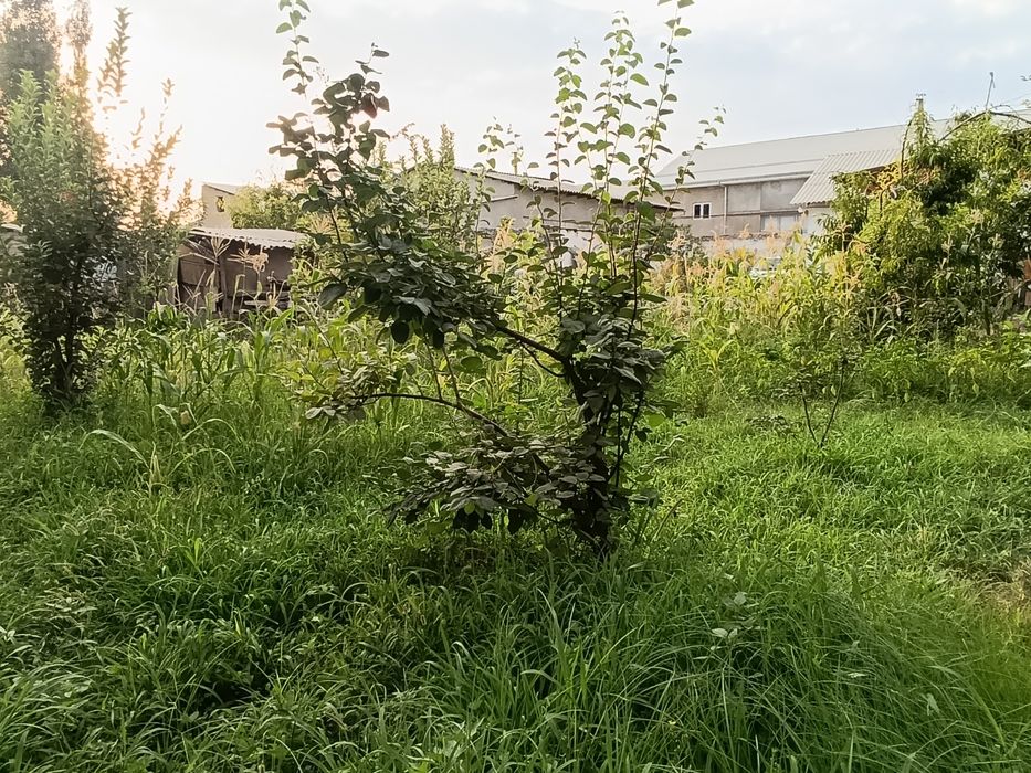 YER SOTILADI 3. SOTIK  Fut sitida 9 km avangart boyqorgon srochna sot