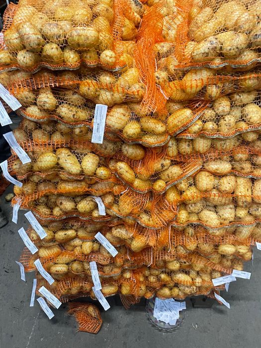 Ceapa , Cartof , Pastarnac