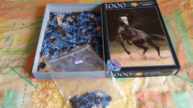 Vand Puzzle-uri - Corabie si Wild Horse