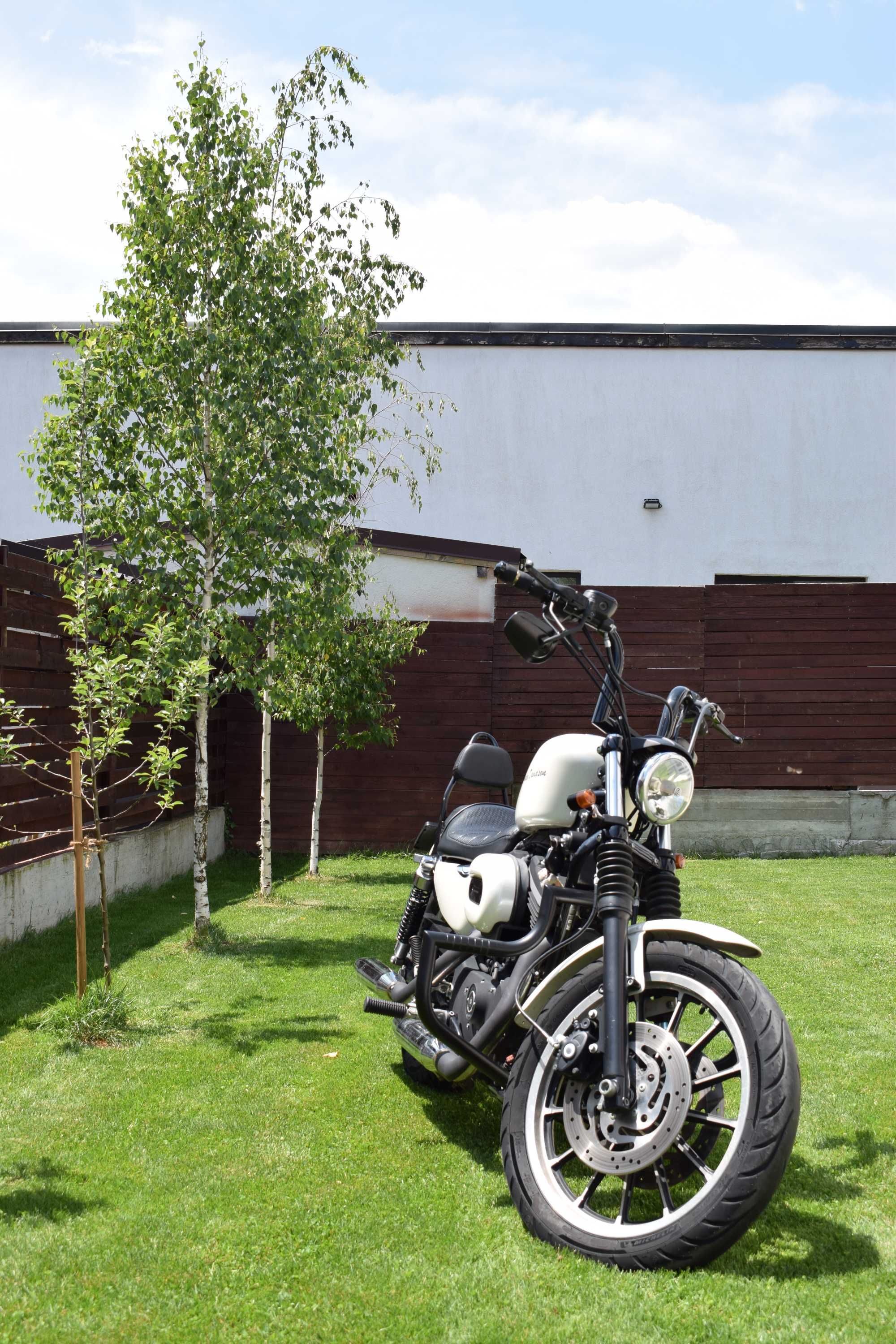 Harley Davidson Sportster 883 R Roadster 2008 Alb Perlat