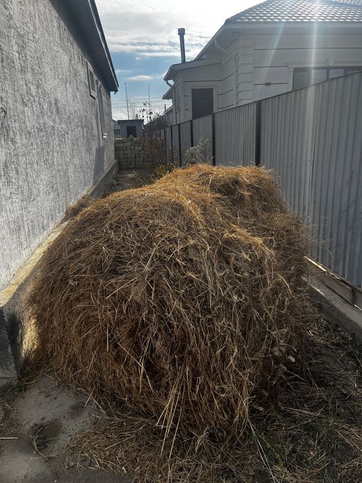 рулон бар 1штук.