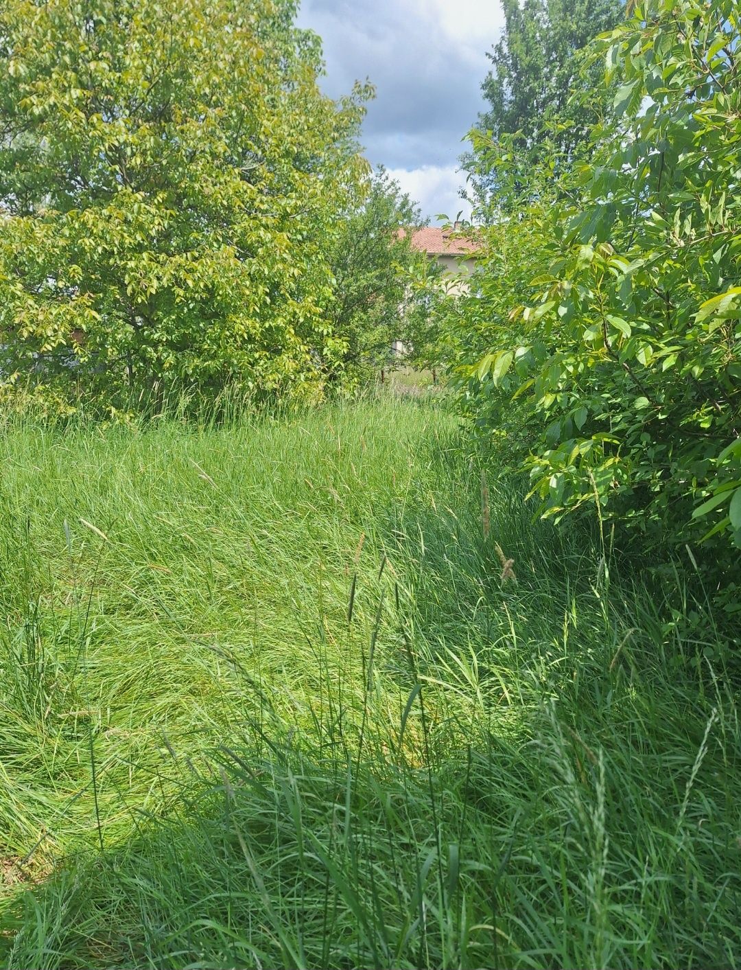 Къща с. Кошарево 130 000