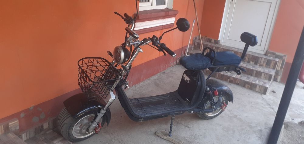 Moped!! Nou-Nout
