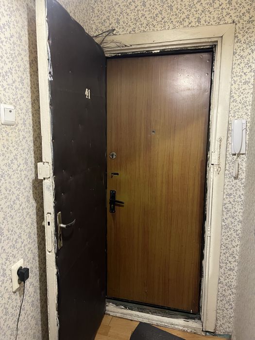 Дверь входная две штуки