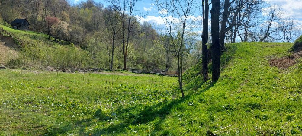 Teren de vanzare+căsuță +pădure