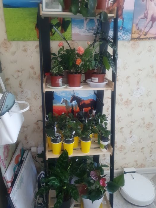 Продам стеллаж для цветов