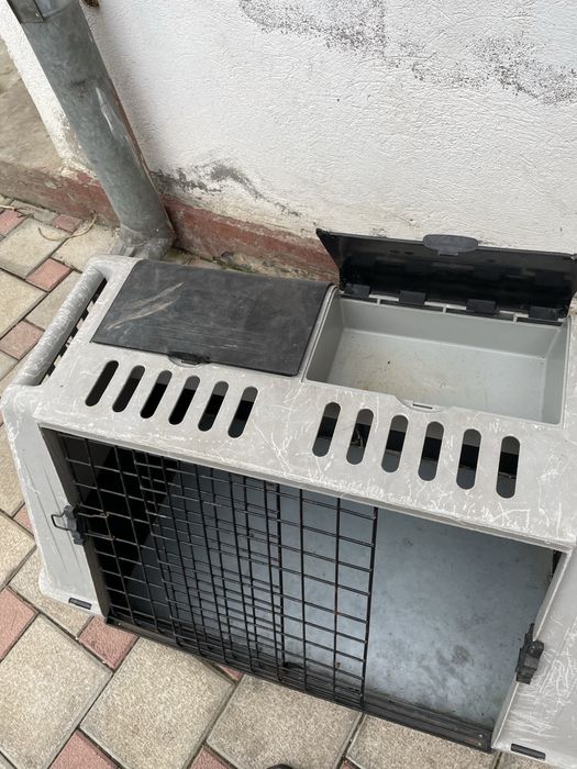 Cusca transport câini