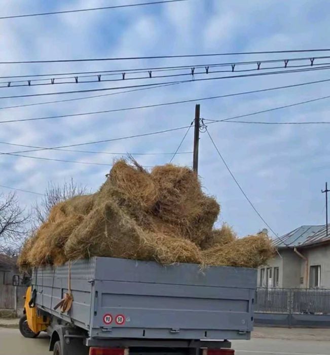 Baloti fan de vanzare !!