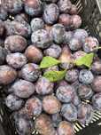 Prune bio din gradina proprie