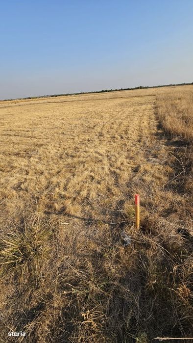 Covaci – Parcele Teren