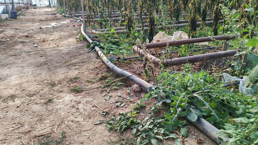 Truba 40 talik 50 talik