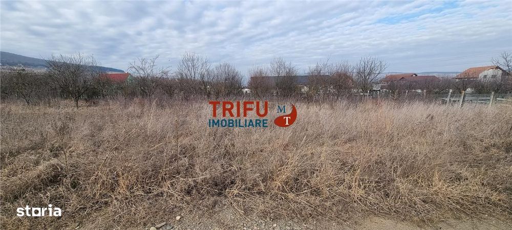Teren intravilan 350 mp de vanzare Alba Micesti cu toate utilitatile