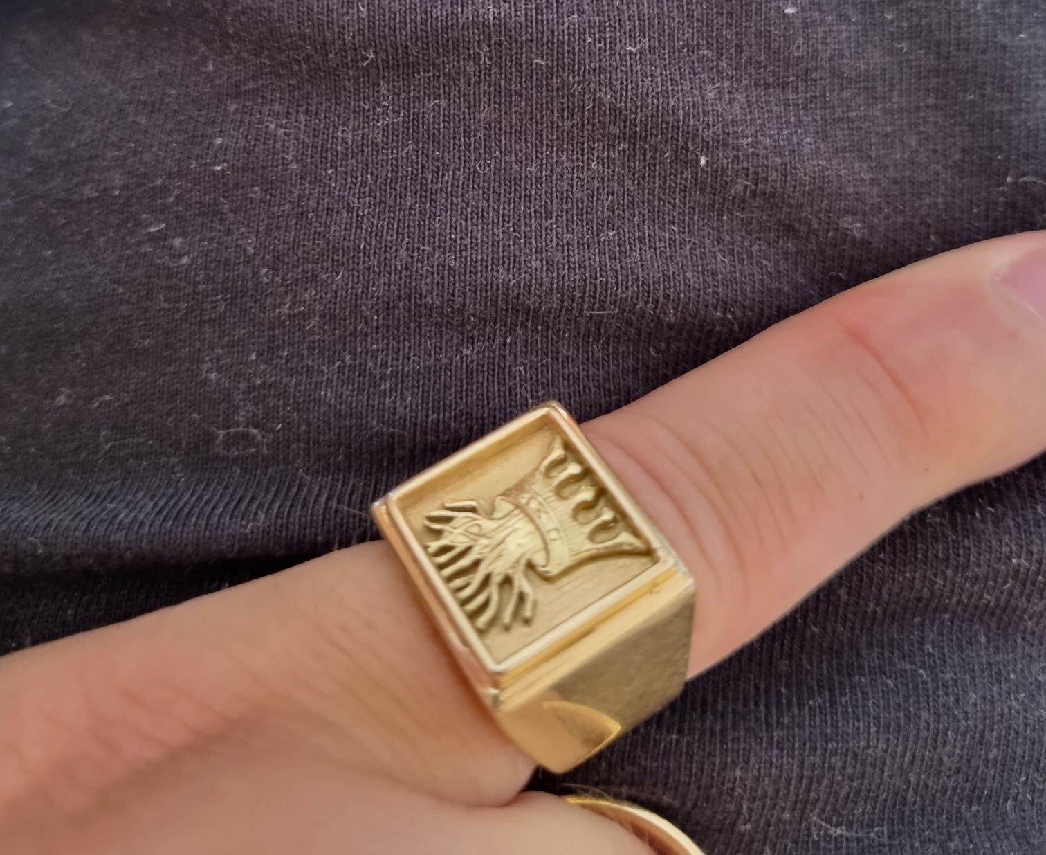 Ghiul barbatesc aur 14k