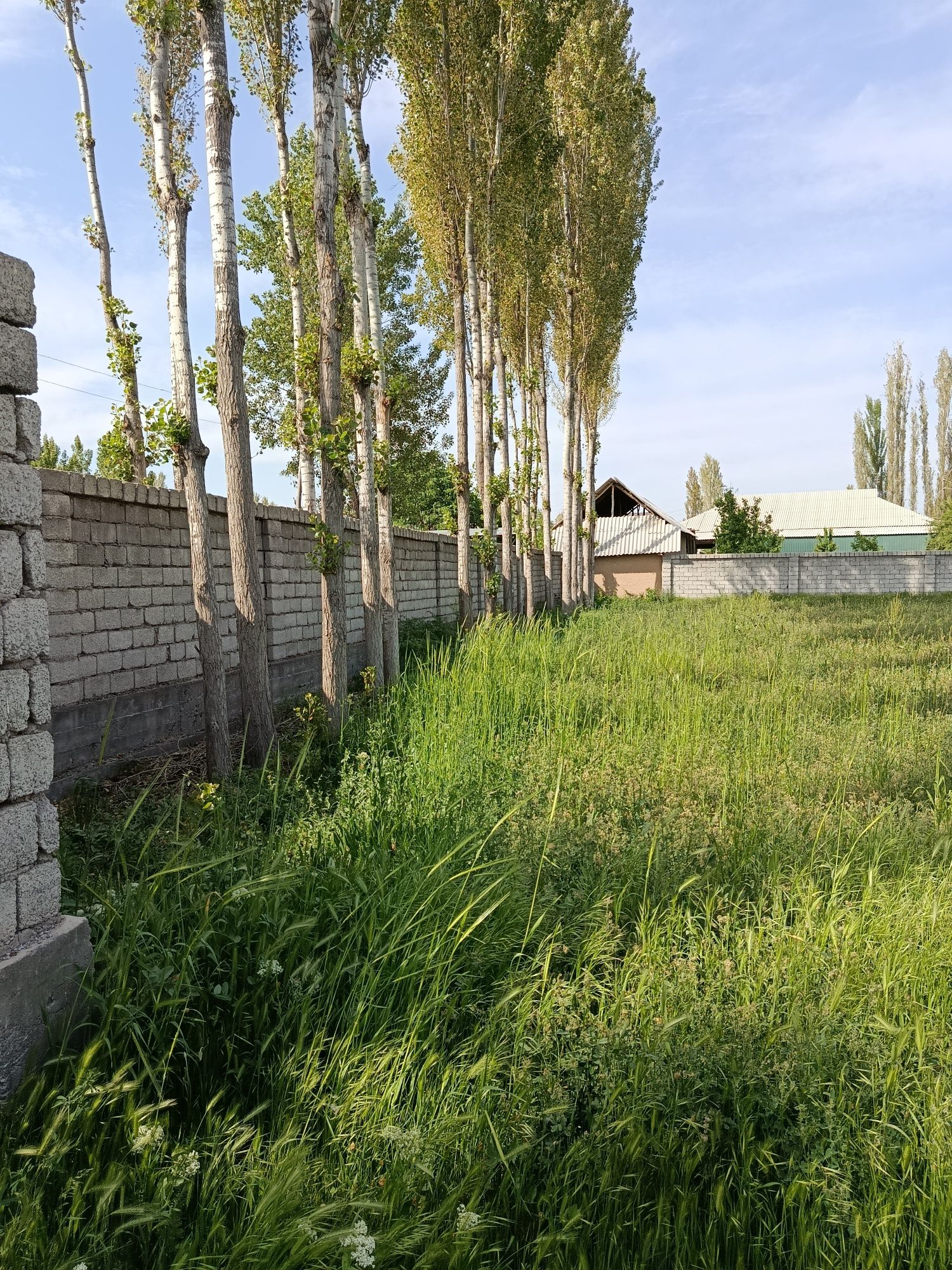 Пустой участок сотилади 25 соток