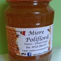 Producator miere de albine