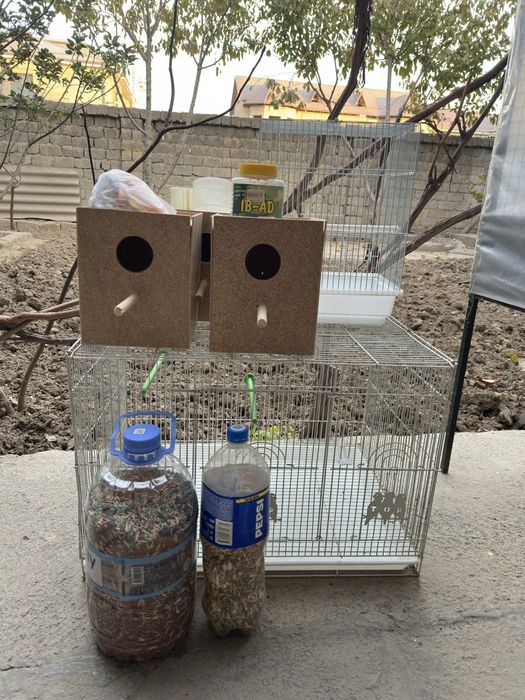 Qafaslar sotiladi yaxshi xolatda