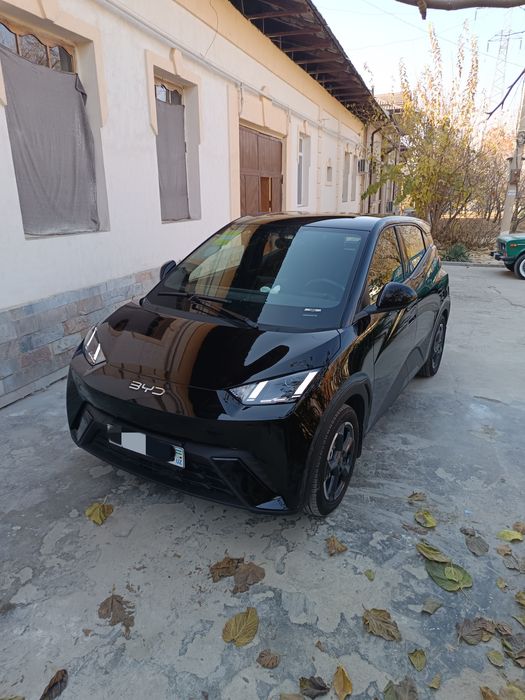 Byd Seagull flying 405km  full pozitsiya