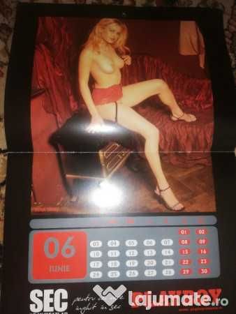 Calendar Playboy 2002 BEST OF de colectie