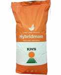 Seminte porumb kws kashmir adonisio