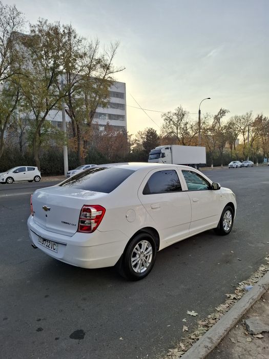 Cobalt sotiladi Kraska TOZA