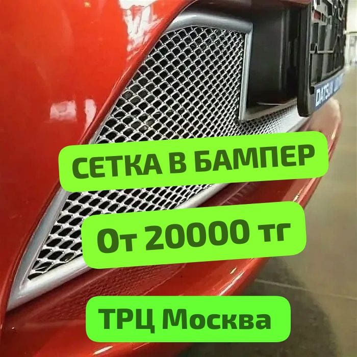 Установка сетки на Бампер Установка Подбор Изготовление. ТРЦ Москва