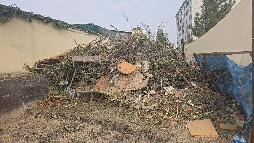 дрова и хонтахта бесплатно õtinlar tekin