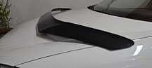 Deflector capotă Passat b7
