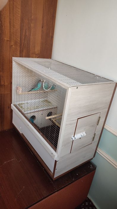 Qafas valyer qushlari blan sotaman