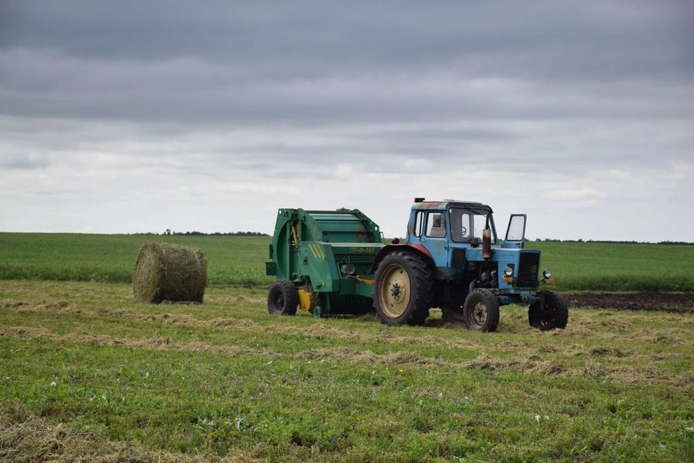 Крестьянское хозяйство