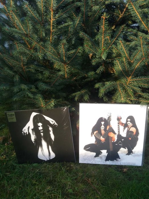 Viniluri black metal