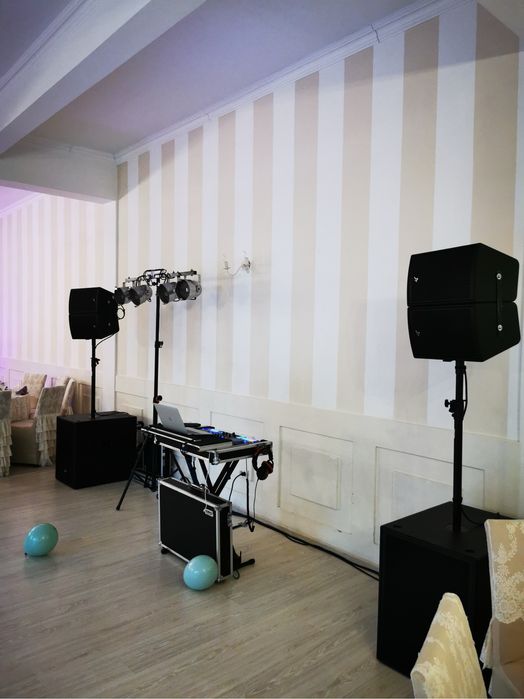 Boxe fane pro audio sv 8