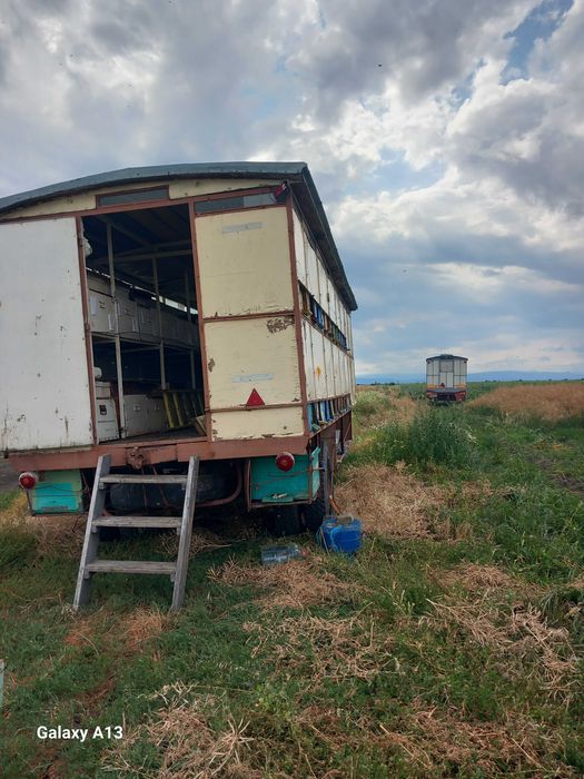 Vand Vagon apicol Înmatriculat