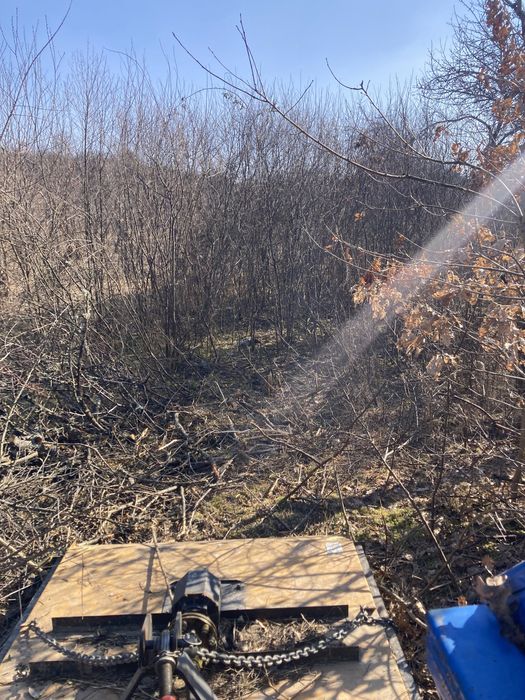 Defrisari terenuri, intretinere spatii verzi si demolari