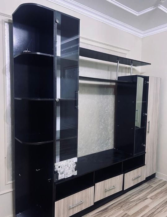 Теледидар,кітап шкафы