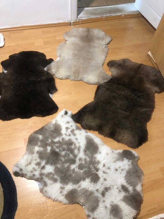 Blană de oaie/Piele de oaie naturală, decorativă, tip covoraș