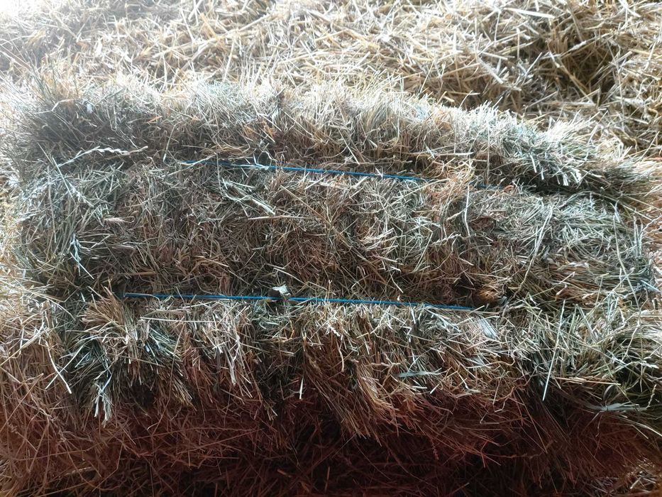 Vând baloti și lucerna