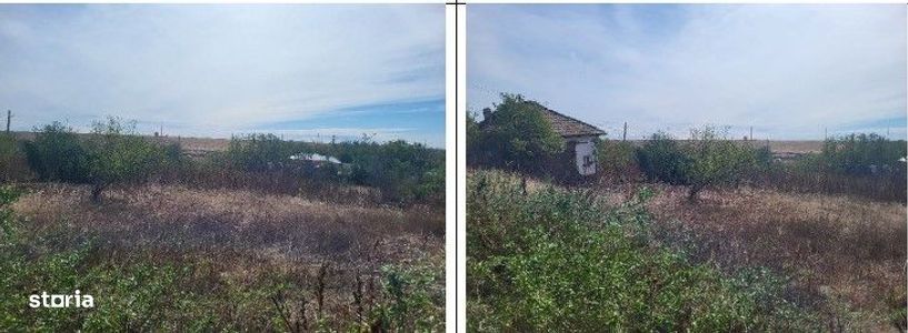 Casa si teren Sat Guruieni, cota parte de 1/2 , ID: R2319667