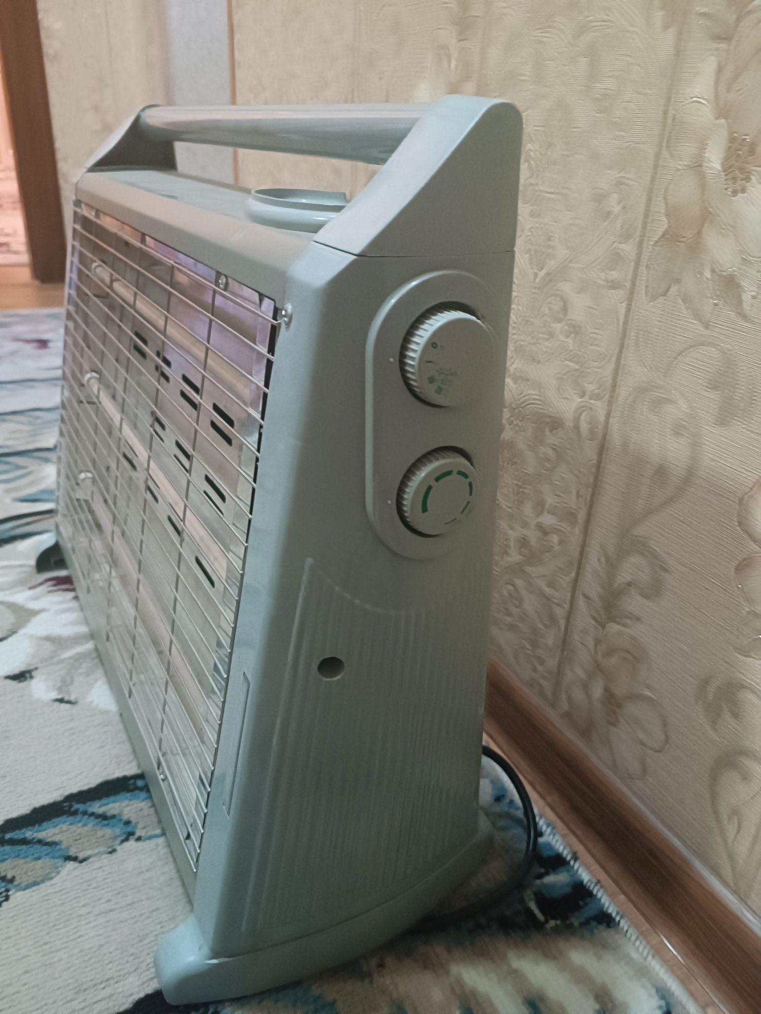 Elektro isitgich