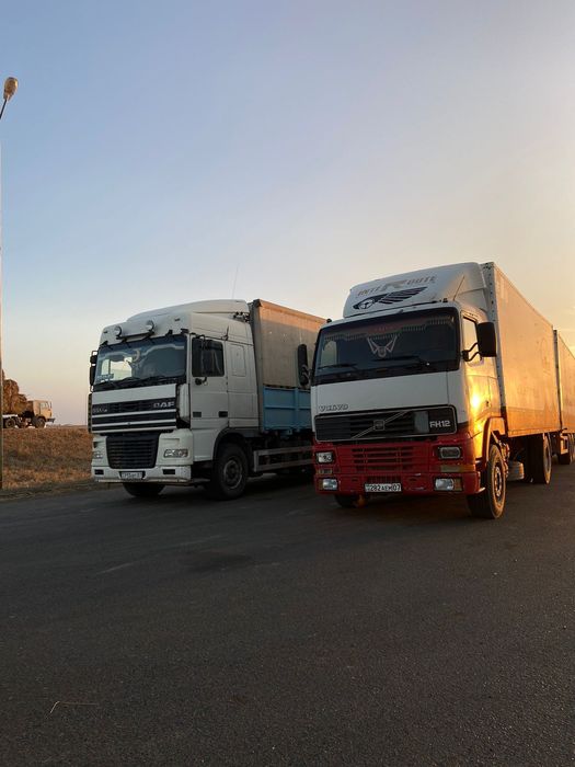 Скотовоз грузо перевозки